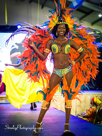 Miss Caribbean United Pageant  2017 04 29  - 0320