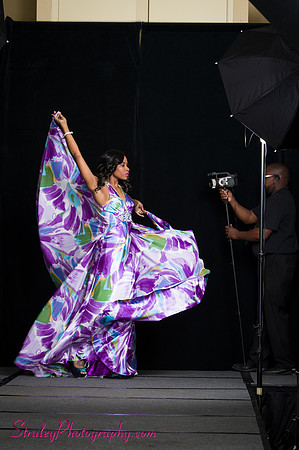 Arlenes Gowns Runway 2013 03 10 - 0238