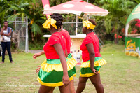 St Davids 2017 Carnival Launch 2017 06 04  - 0017