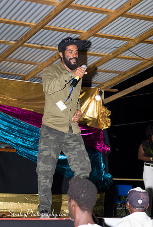St Davids 2017 Carnival Launch 2017 06 04  - 0286