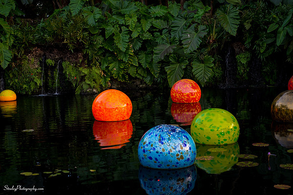 Chihuly at Fairchild Gardens  2015 01 08 - 0073