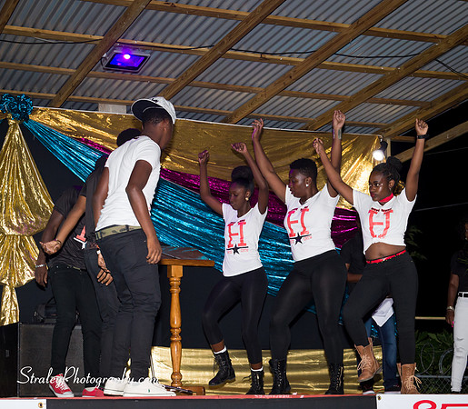St Davids 2017 Carnival Launch 2017 06 04  - 0327