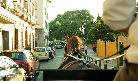 Seville 2013 10 09  - 0074