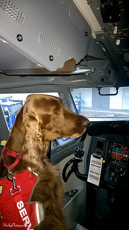 Mick in plane  2015 01 10 - 0002