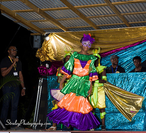 St Davids 2017 Carnival Launch 2017 06 04  - 0122