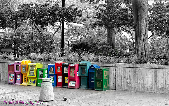 Photo walk 2009 07 -7721 v2