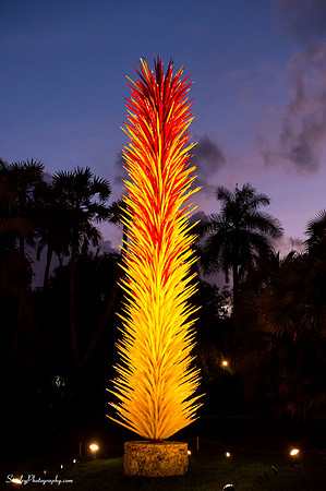 Chihuly at Fairchild Gardens  2015 01 08 - 0170