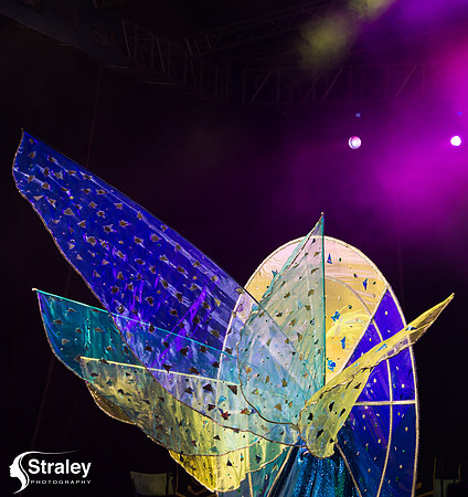 King and Queen of the Bands - 2018 08 13 - 0263-2