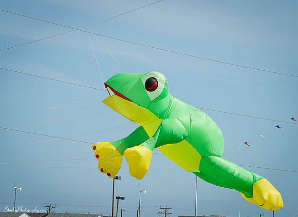 Kites 2014 09 28 - 0026