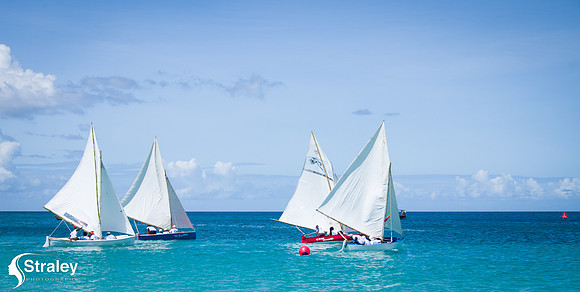 Workboat Regatta Races 2019 02 02 - 0230