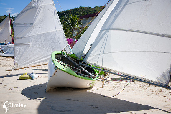 Workboat Regatta Races 2019 02 02 - 0102