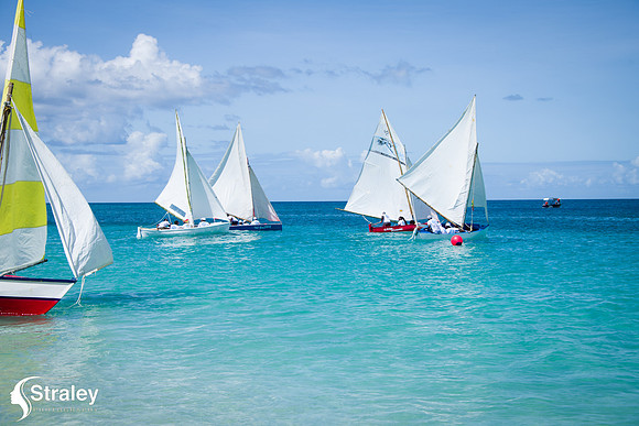 Workboat Regatta Races 2019 02 02 - 0228