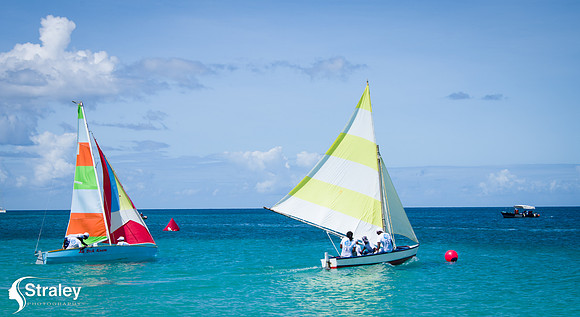 Workboat Regatta Races 2019 02 02 - 0239