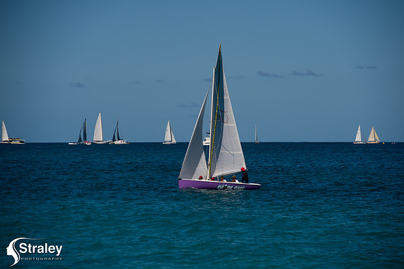 Workboat Regatta  - 2018 02 03 - 0151