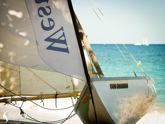 Workboat Regatta  - 2018 02 03 - 0236