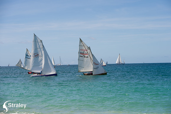 Workboat Regatta  - 2018 02 03 - 0663
