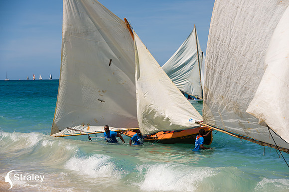Workboat Regatta  - 2018 02 03 - 0417