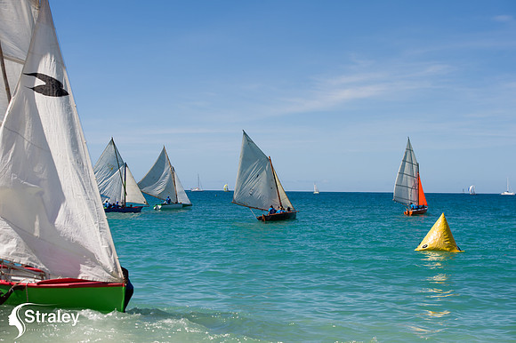 Workboat Regatta  - 2018 02 03 - 0617
