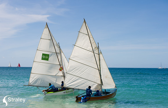 Workboat Regatta  - 2018 02 03 - 0657
