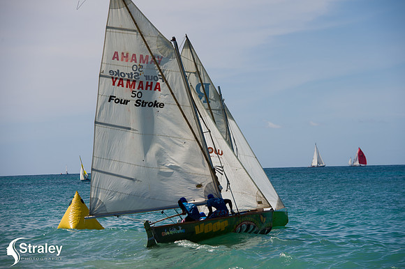 Workboat Regatta  - 2018 02 03 - 0660