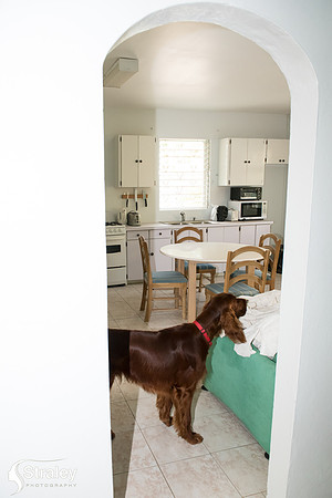 Cottage inside - 2019 03 17 - 0017