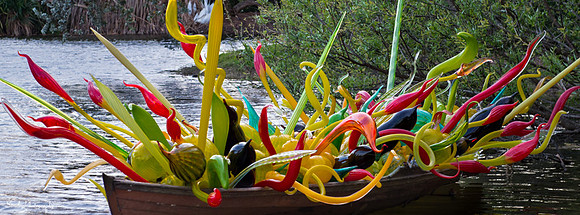 Chihuly at Fairchild Gardens  2015 01 08 - 0031