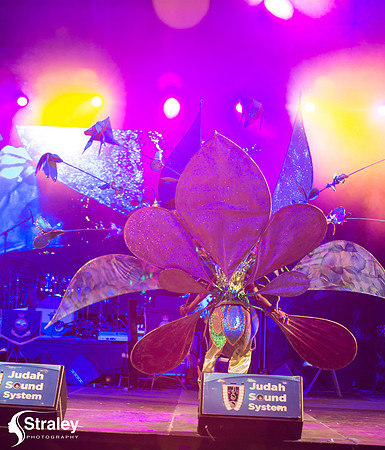 King and Queen of the Bands - 2018 08 13 - 0193