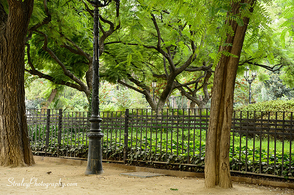 Barcelona 2013 10 03 - 0126