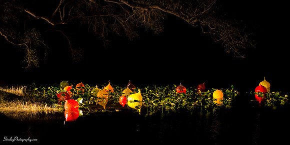 Chihuly at Fairchild Gardens  2015 01 08 - 0257