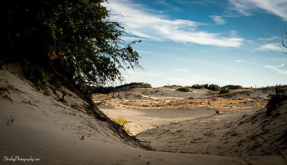 Jockeys Ridge  - 2014 10 24 - 0024