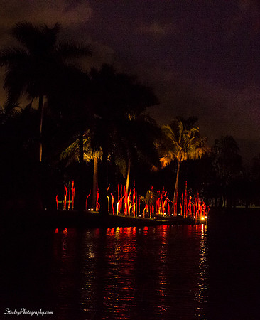 Chihuly at Fairchild Gardens  2015 01 08 - 0207