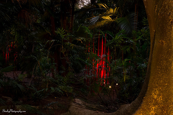 Chihuly at Fairchild Gardens  2015 01 08 - 0106