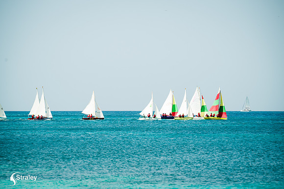 Workboat Regatta 2024  02 03 - 0155