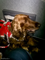 Mick in plane  2015 01 10 - 0012