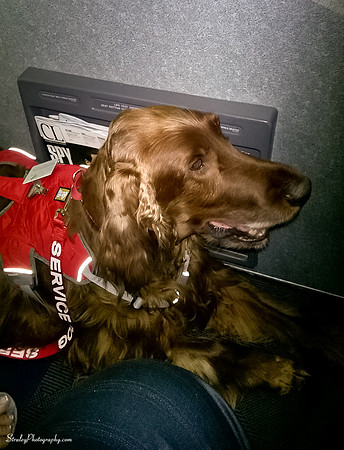 Mick in plane  2015 01 10 - 0012