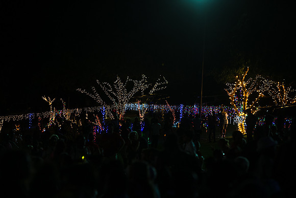 Carols by Candlelight 2019 12 01 - 0022