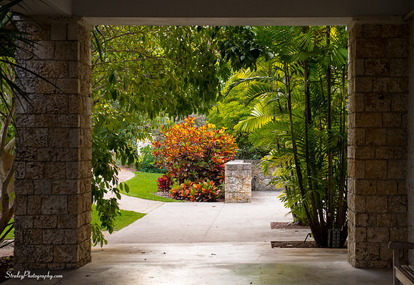 Chihuly at Fairchild Gardens  2015 01 08 - 0001