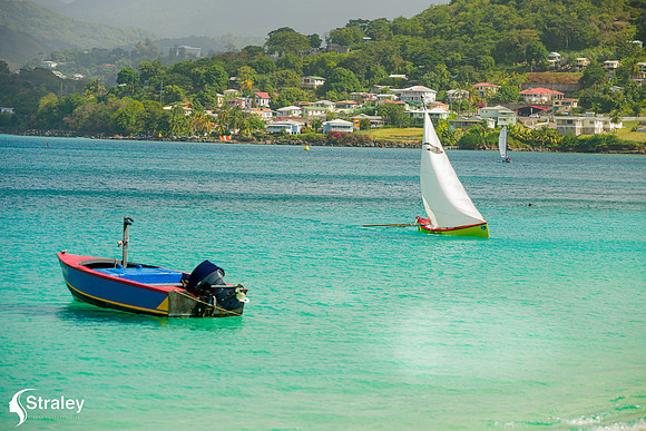 Grenada Workboat Regatta  2020 02 01 - 0079