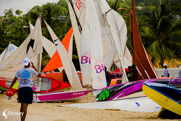 Grenada Workboat Regatta  2020 02 01 - 0158