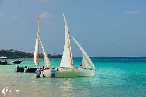 Grenada Workboat Regatta  2020 02 01 - 0185