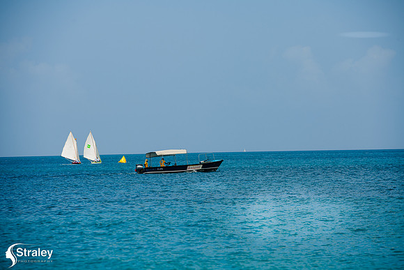 Grenada Workboat Regatta  2020 02 01 - 0210