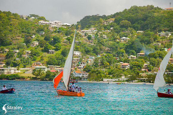 Grenada Workboat Regatta  2020 02 01 - 0225