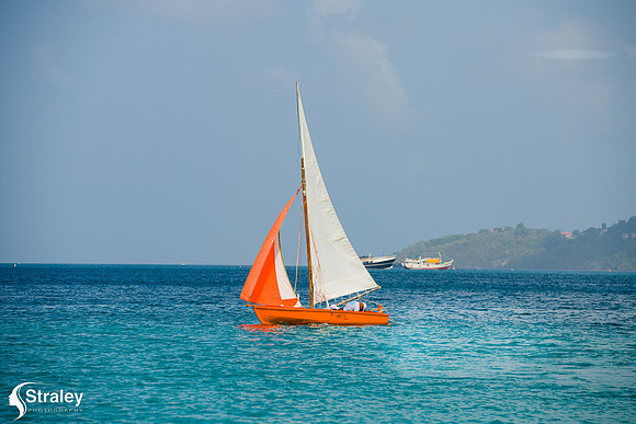 Grenada Workboat Regatta  2020 02 01 - 0227