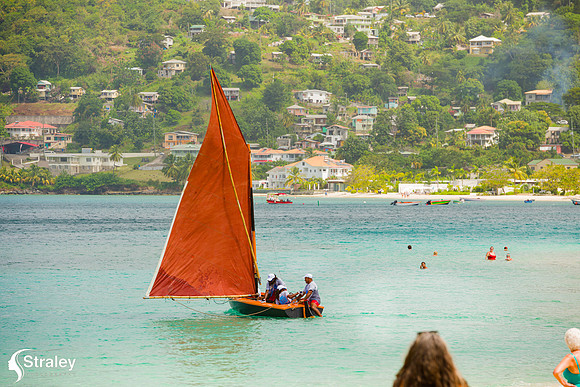 Grenada Workboat Regatta  2020 02 01 - 0234