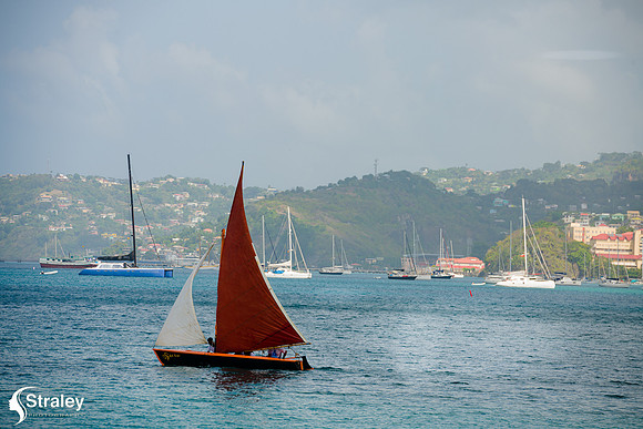 Grenada Workboat Regatta  2020 02 01 - 0242