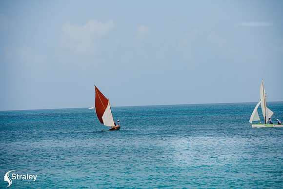 Grenada Workboat Regatta  2020 02 01 - 0249