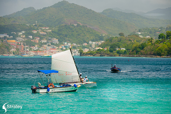 Grenada Workboat Regatta  2020 02 01 - 0251
