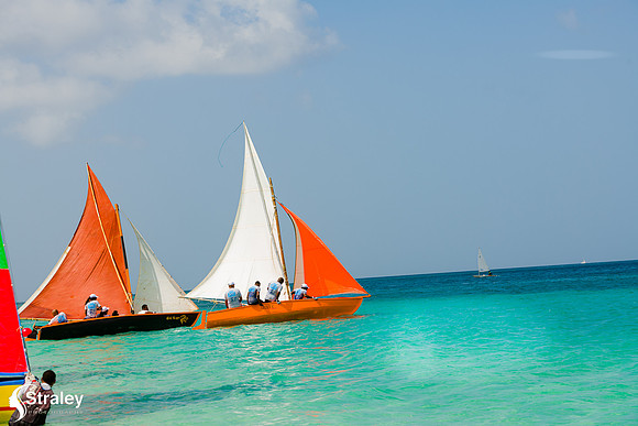 Grenada Workboat Regatta  2020 02 01 - 0268