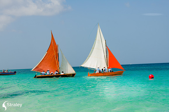 Grenada Workboat Regatta  2020 02 01 - 0270