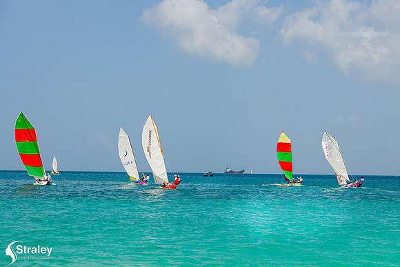 Grenada Workboat Regatta  2020 02 01 - 0294
